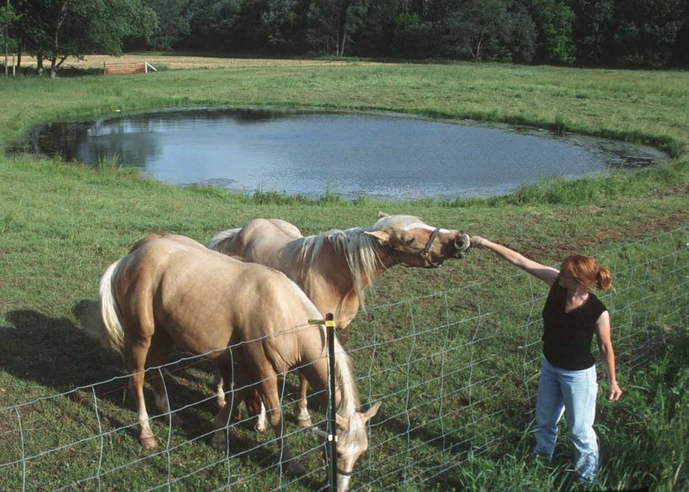 Jobs if you love animals