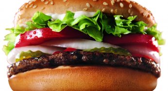 What if Junk Foods Could Speak