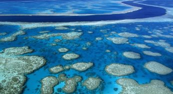 10 Incredible Underwater Sites of The World
