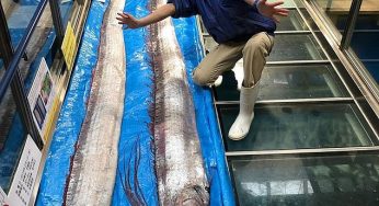 How This Deep Sea Fish in Peru Hints At Impending Tsunami
