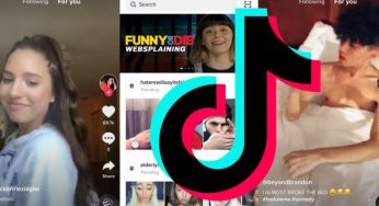These Are The Different Types of TikTok Users