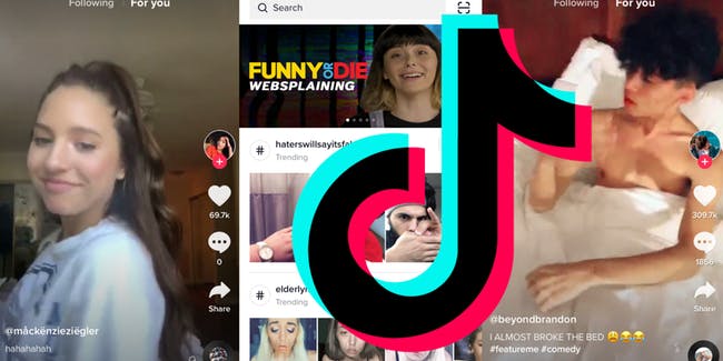 These Are The Different Types of TikTok Users