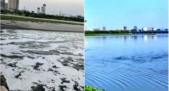 Five Signs of Nature Indicating about Pollution Free India