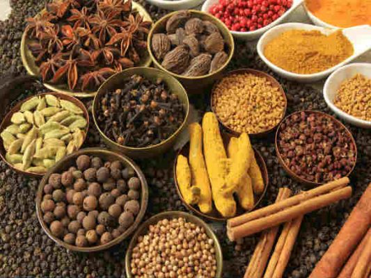 diet in monsoon-spices 1