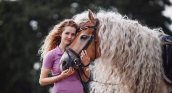 Did You Know that Horses Cannot Vomit? Let’s Find the Reason…