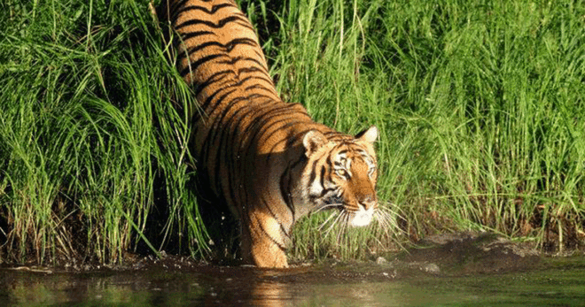 India and bangladesh 2