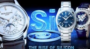 Historical Facts That Encourages Silicon Movement