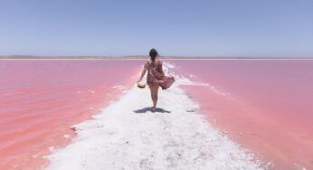Amazing facts: Beauty Of The Pink Lake in the Land of Kangaroos