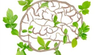 How Focus Meditation Improves Your Neuroplasticity?