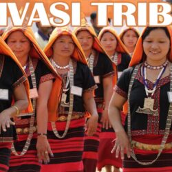 tribal entrepreneurship 1