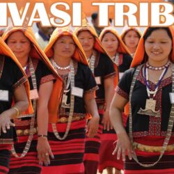 tribal entrepreneurship 1