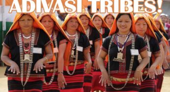 What is The Scope of Tribal Entrepreneurship?