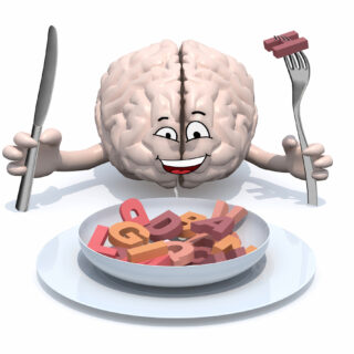 brain consists fat 1