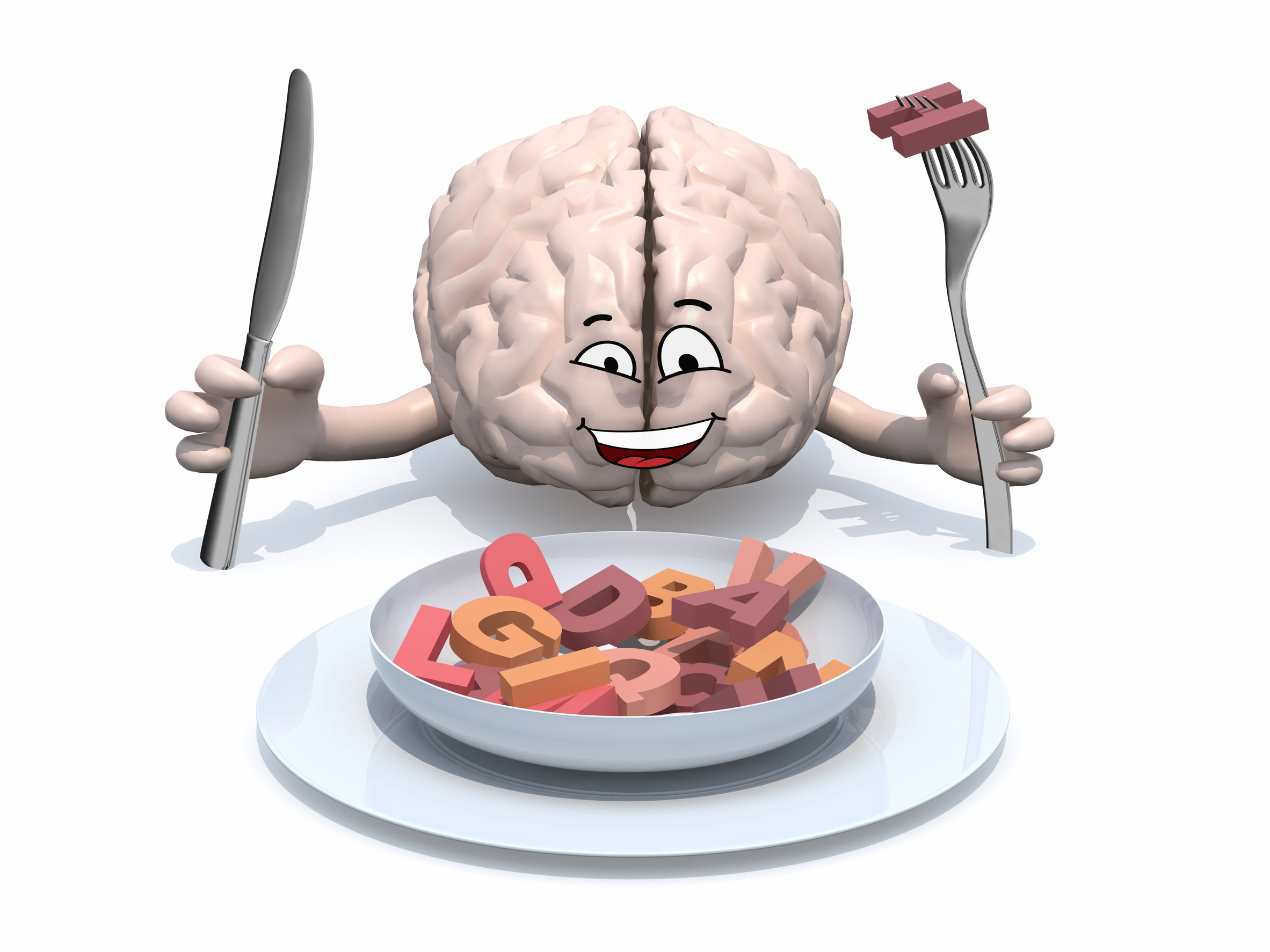 brain consists fat 1