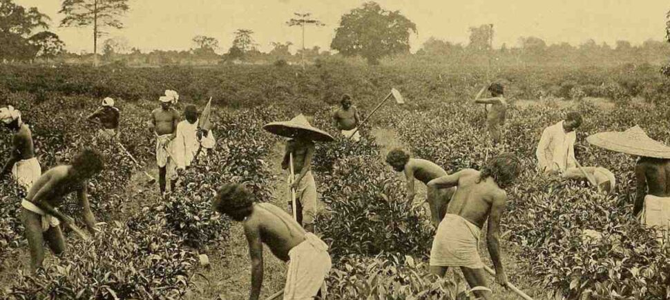 Indian traditional village
