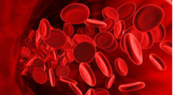 What Do You Know About the Rare HH Blood Group?