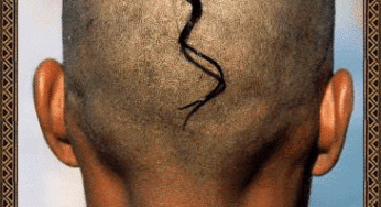 Science Proven Hair Shaving Is Beneficial Support Hindu Religion