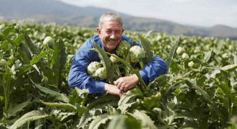 Why is California Known as the “Artichoke Capital of the World”?