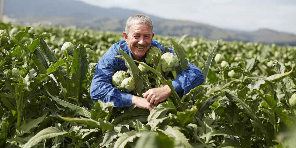 Artichoke capital of the world