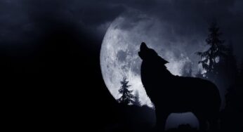 Yes! Similar To The Earthquakes Moon Have Moonquakes