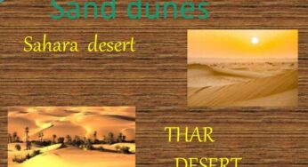 3 Indian Places That Will Ensure Foreign Travel Experiences