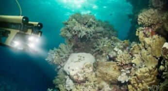 Ocean Has 20 Million Tons Of Gold To Make Rich As Billionaire