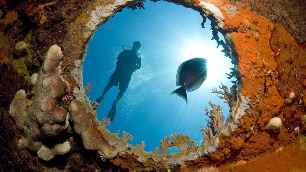 Ocean Has 20 Million Tons Of Gold To Make Rich As Billionaire