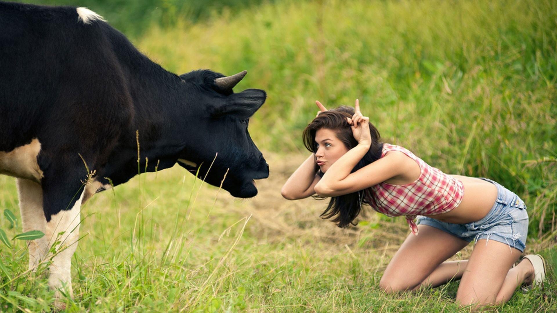 Random Funny Facts That Are Hard to Believe