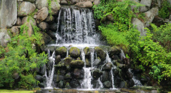 Nature Has The Power To Heal All You Need To Harness 