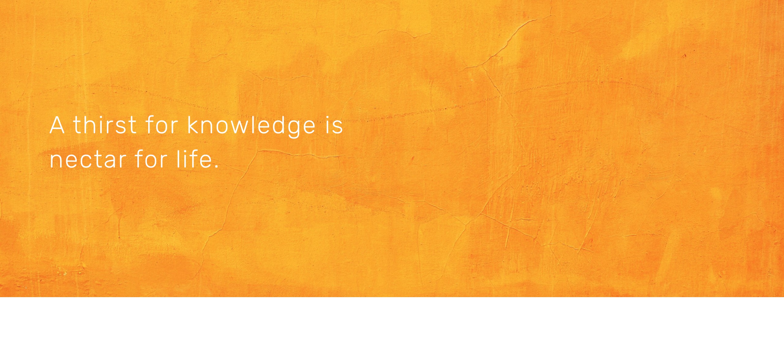 knowledge wealth 2