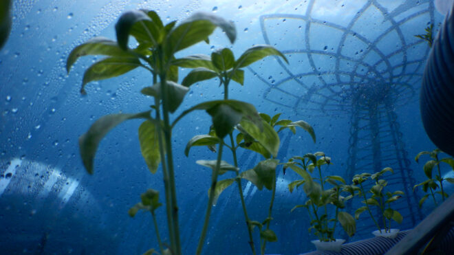 underwater farming 4 