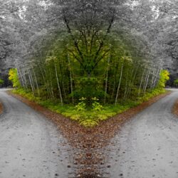 two paths 2