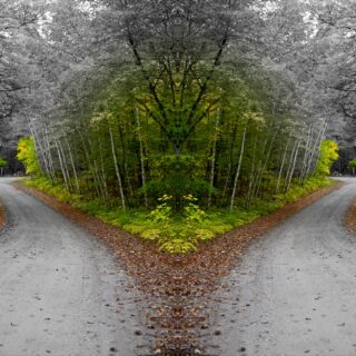 two paths 2