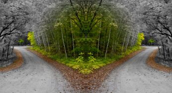 What Do “Two Paths” Respectively Mention In Spiritual Tradition?