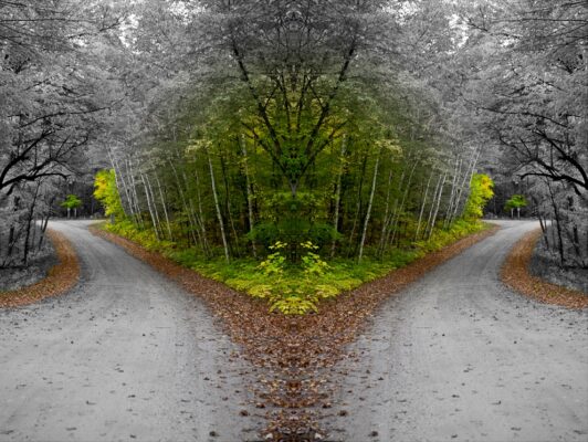 two paths 2