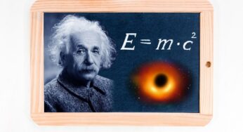 What Is The Purpose Of Celebrating World Genius Day?