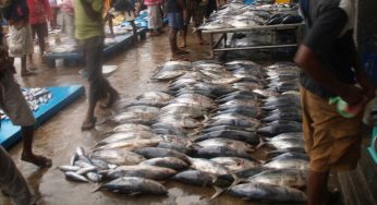 Sri Lanka lures foreign fishing companies