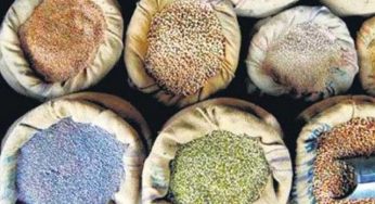 UPA’s food bill: Sonia’s headache, BJP’s victory