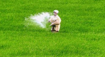 EGoM against cutting gas allocation to fertiliser sector