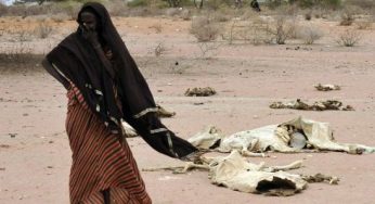 20 killed in Kenya’s inter-clan clash
