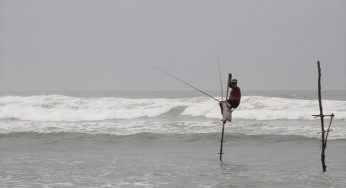 10 Sri Lankan fishermen held by Indian Coast Guard