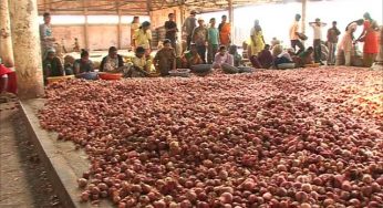 Online sale of onions for Rs 9 per kg