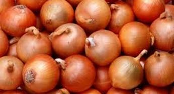 Afghan onions arrive in India