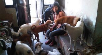 For the love of dogs