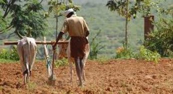Is precision agriculture the solution to India’s farming crisis?