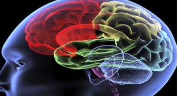 Brain attacks as serious as heart attacks: Expert