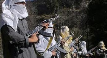 No peace talks with Pakistan government: Taliban
