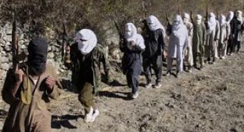 Pakistani will pursue talks with Taliban
