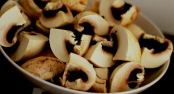 Eat mushrooms to stay energetic