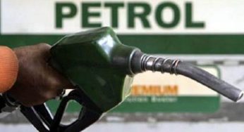 Petrol, diesel prices up